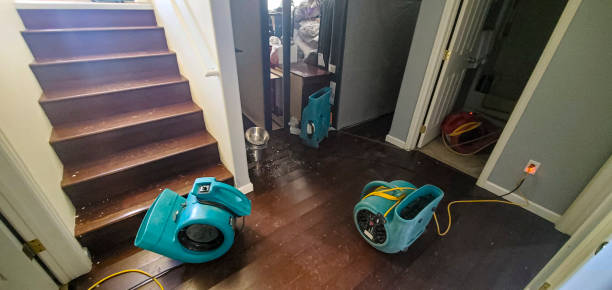 Best Flood damage cleanup  in Munising, MI