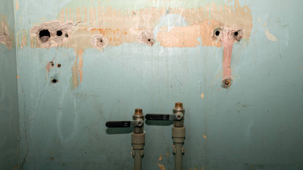 Best 24-hour water damage restoration  in Munising, MI