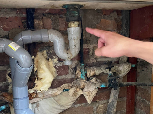 Best Basement water damage restoration  in Munising, MI